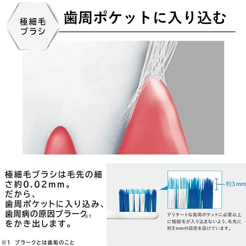 パナソニック 替えブラシ ドルツ 極細毛ブラシ ラージ 2本組(6か月分)黒 EW0801-K
