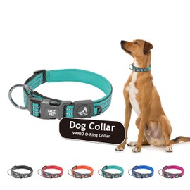 Kruz Dog Collar for Small Dogs (Width- 5/8", Length - 15"-17") Reflective Adjustable Pet Neck Band with Soft Padding, Heavy-Duty O-Ring, 100% Nylon Strap (Turquoise, Small)