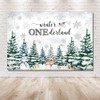 MEHOFOND 7x5ft Winter Onederland Backdrop Kids 1st Birthday Photography Background