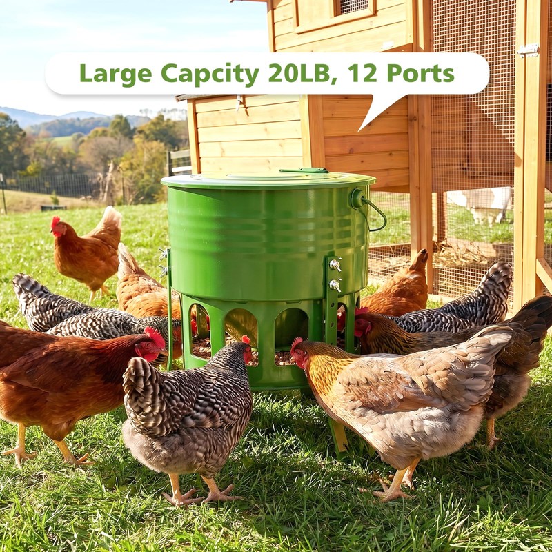 Tgeyd Metal Bucket Chicken Feeder, 20LB Large Capacity Poultry Feeder
