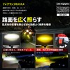 PIENSE Motorcycle Fog Light with 2 LEDs/Switch Included, Small, Waterproof,