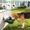 Automatic Water Bowl Livestock Waterer for Horse Cattle Goat Sheep