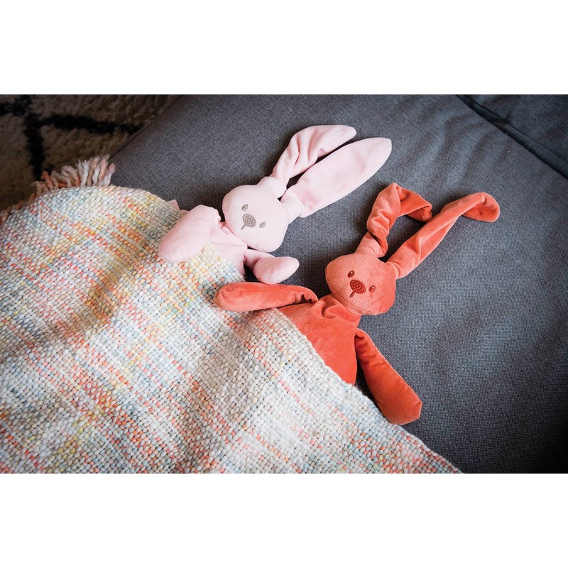 Nattou Lapidou Cuddly Toy Rabbit, Companion from Birth