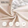 Lacette 2Pack Silk Pillowcase,Bli