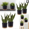PECZEKO Matte Flower Pot, Plastic Planter, Decorative Pot for Large