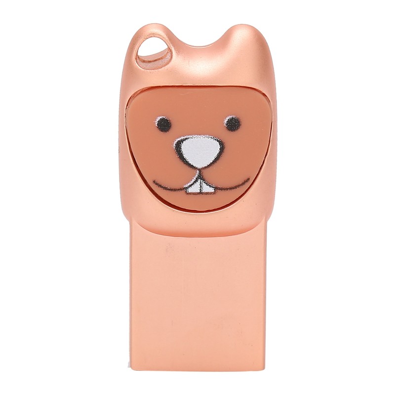 USB2.0 Flash Drive Cute Cartoon Portable Memory Stick with Adapter