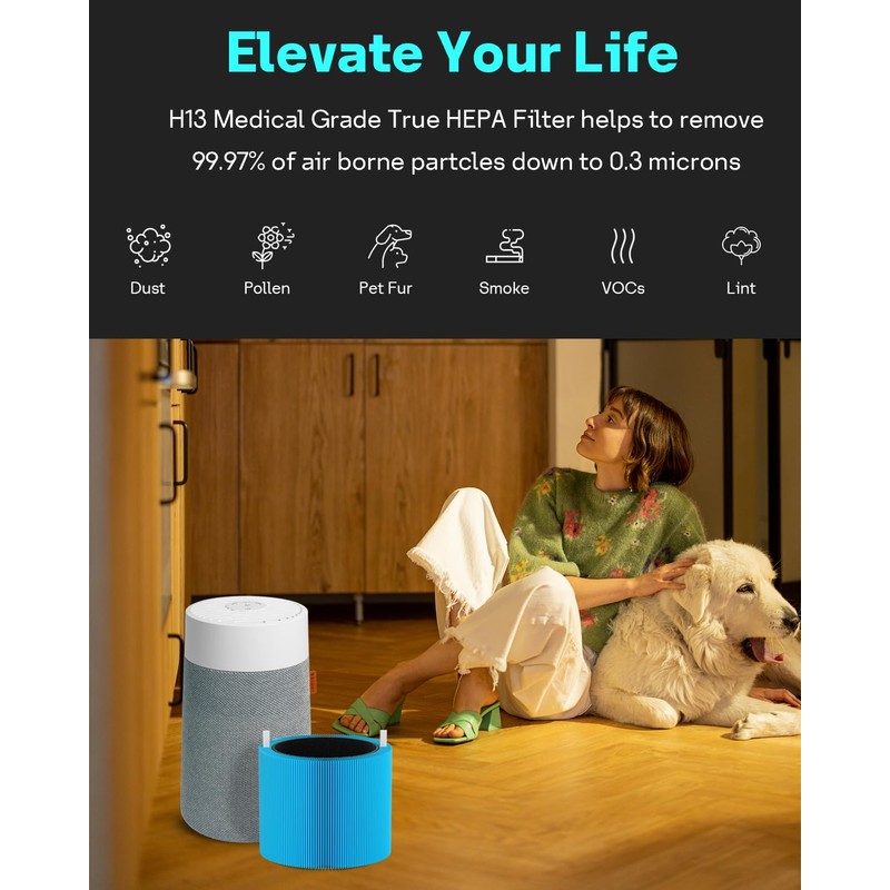 Leemone 2 Pack mini Max AllergenBlock Filter Compatible with Blueair