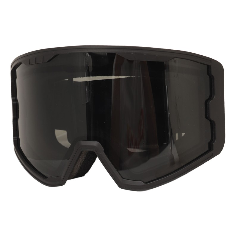 Ski Goggles Double Layer Sun Protection Anti Fog Adjustable Elasticity