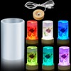2 Pieces Cylinder Light Resin Silicone Mold Set, Include Cylinder
