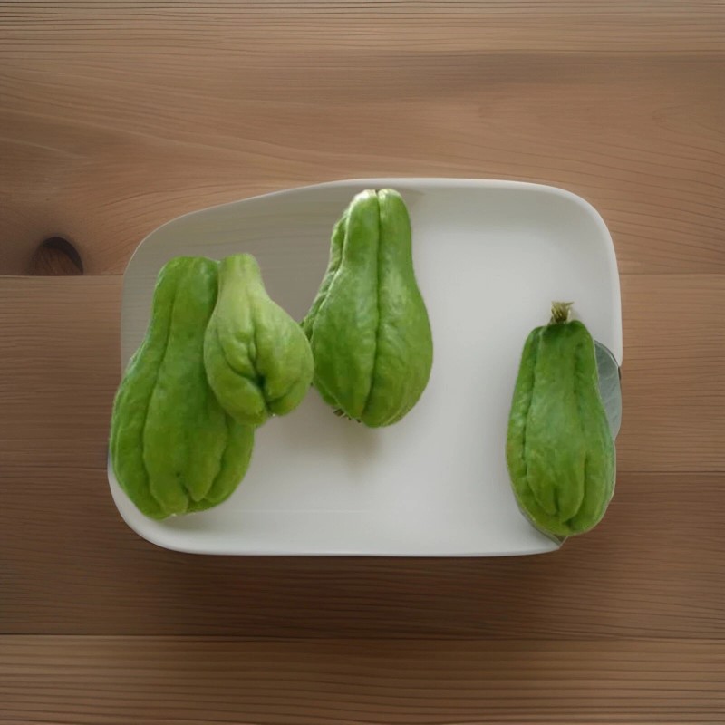 2 Sprouted Chayote Squash Mirliton Live Plant Ready To Plant