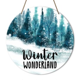 Winter Merry Christmas Decor Sign for Home Room Front Door, Winter Xmas Merry Christmas Decorations for Home Porch Holiday Xmas Gifts for Women Men, Winter Wonderland
