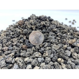 Lava Rock, Soil Aggregate for Bonsai, Cactus, Succulents, and Other Container Grown Plants, enables Optimal Drainage, Improves Soil Aeration 1/4 inch Black Lava Rock (2 Quarts Bag)