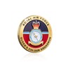 The Koin Club Royal Air Force Queens Colour Squadron Gold
