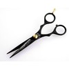 Professional Hairdressing Scissor – eye-catcher Details – Black – 14 cm, with Case
