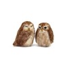 Wizardi Felting Kit - Little Owl KTS-LittleOwlSmallNeedleFeltKit The Makerss