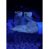 Eco-Sensa 100ml Water Sampling Bottles for Water Safety Test,Sterile,100/Case, Cat