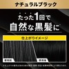 Lucido Color Rinse PRO Perfect Black Hair Dye Treatment, 4.2