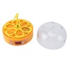 Egg Incubator 6 Eggs Smart Egg Hatchery Temperature Control Manual