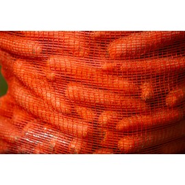 Large Hanging Mesh Storage Net Bags for Vegetables – Log Bags for Wood – Onion Bags for Storing – Vegetable Storage Net Bag for Kitchen – Onion Storage Nets – Kindling Carrot Onion Bag (32 x 48cm, 10)