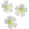PME PR261 Stainless Steel Primrose Flower Petal Cutters, Set of