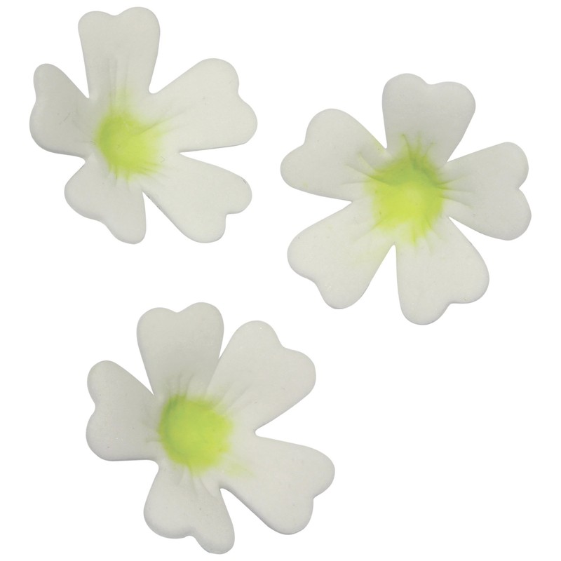 PME PR261 Stainless Steel Primrose Flower Petal Cutters, Set of