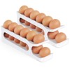 Egg Holder for Fridge, 2 Tiers Auto Rolling Forward (Can
