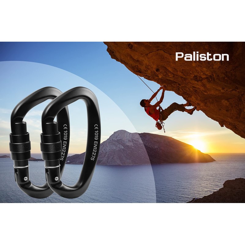 Locking Carabiner - 25kN 5600lb Climbing Carabiner Screw Gate D