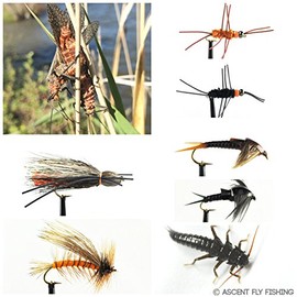 Ascent Fly Fishing Salmonfly Selection (Large)