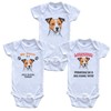 Really Awesome Shirts Sister is a Jack Russell Terrier Funny