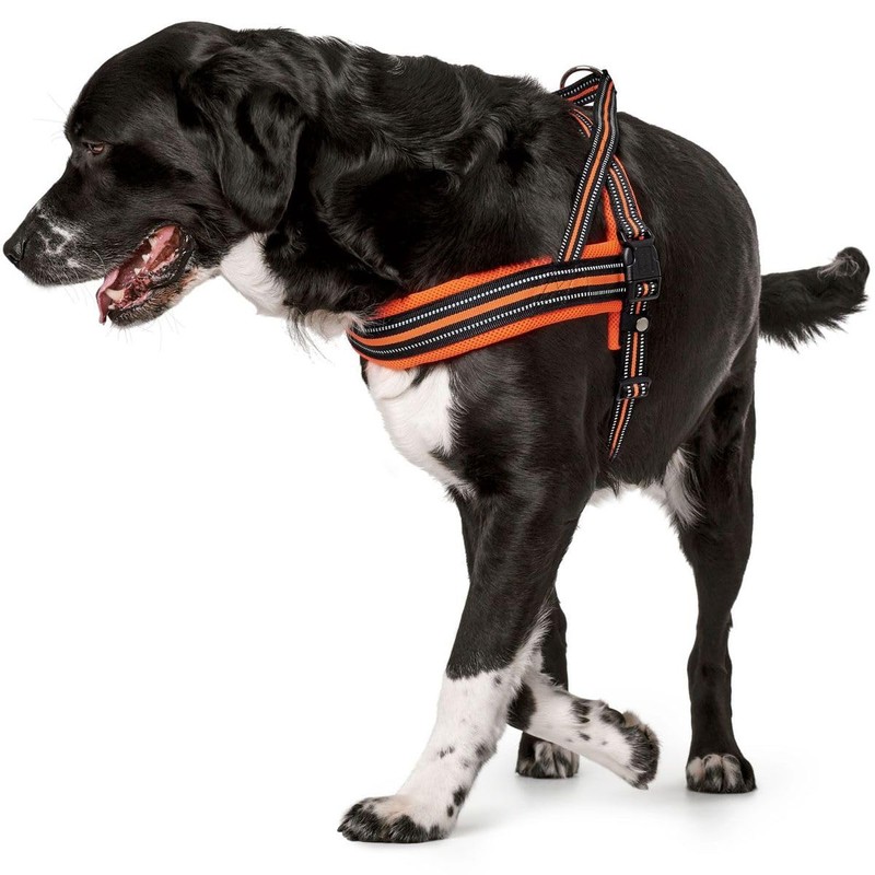 HUNTER Norwegian Harness Meldal, S Mesh, orange
