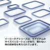 Iwasaki Industries Easy Care 0.8 gal (2.6 L)