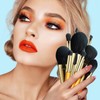 Eigshow Makeup Brushes Set, 10 Pieces Makeup Brushes, Premium Nano
