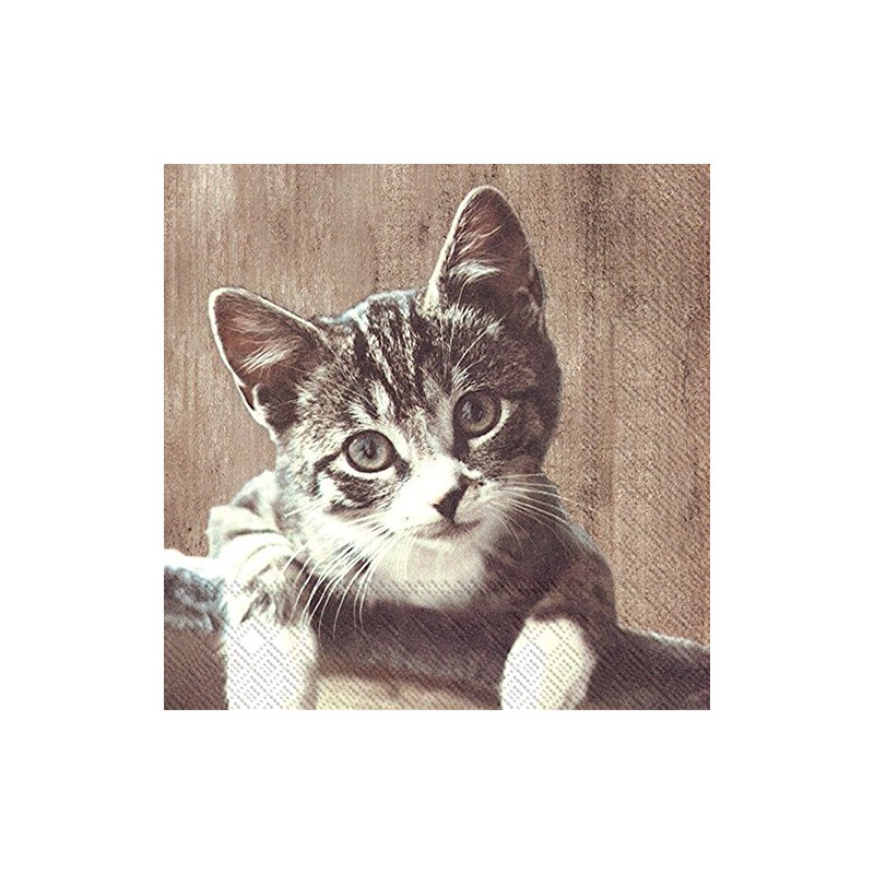 IHR Servietten Cocktail 25x25cm Kasimir Katze