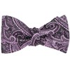 tiemart Men's Self-Tie Bow Tie (Eggplant Clara Paisley)