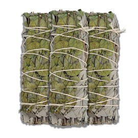 ESPOIR & AMOUR Eucalyptus Sage - 3 Spiritual Eucalyptus Smudge Stick Bundles for Smudging, Healing and Ritual | Hand-Tied Dried Eucalyptus Bundle to Cleanse Negativity - 4 Inch White Sage Bundle