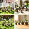 7/6/5/4 Inch Clear Nursery Pots with Drainage Hole 20Pcs,Plastic Plant