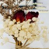 CROISSANT Mini Dried Flower Bouquet 6PCS, Mixed Natural Mini Dried