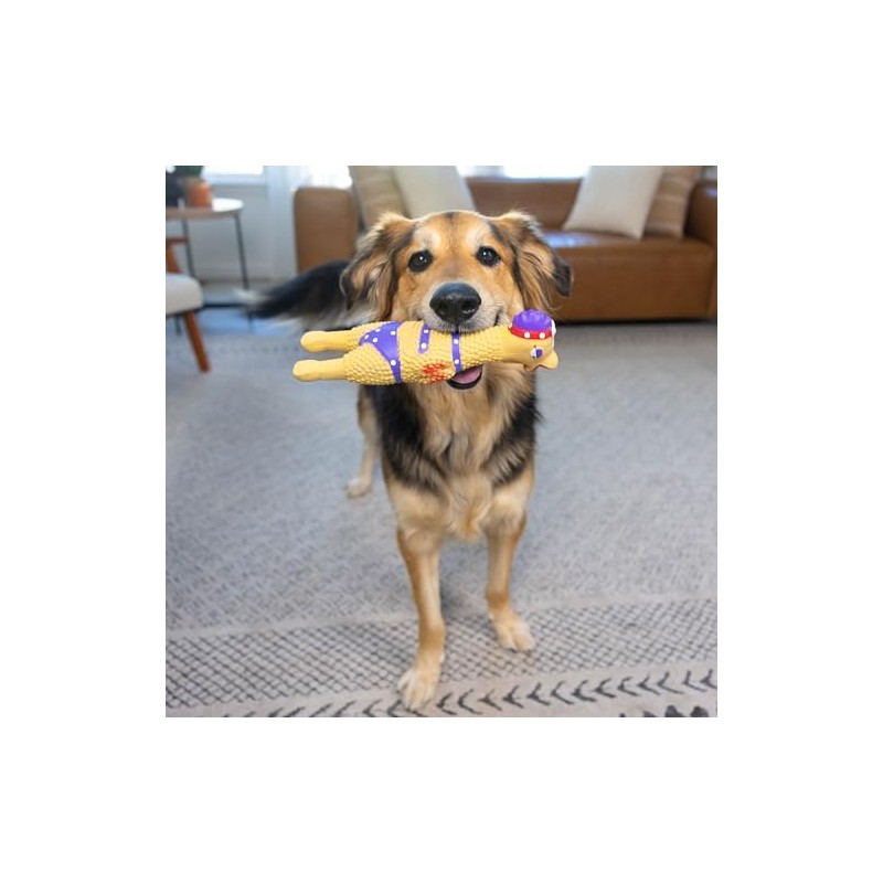 Charming Pet Squawkers Dog Toys