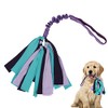 Juguete de tirón para perros (morado)