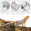 CUSOZWO Bearded Dragon Harness and Leash Set - Cute Lizard