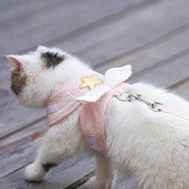 Qinlorgo Correa de Arnés para Gatos, Alas de ángel de Moda Chaleco de Arnés para Gatos Correa Ajustable Cómoda para Gatitos para Suministros para Masc