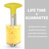 OOKUU Pineapple Corer Cutter, Stainless Steel Fruit Peeler Slicer -