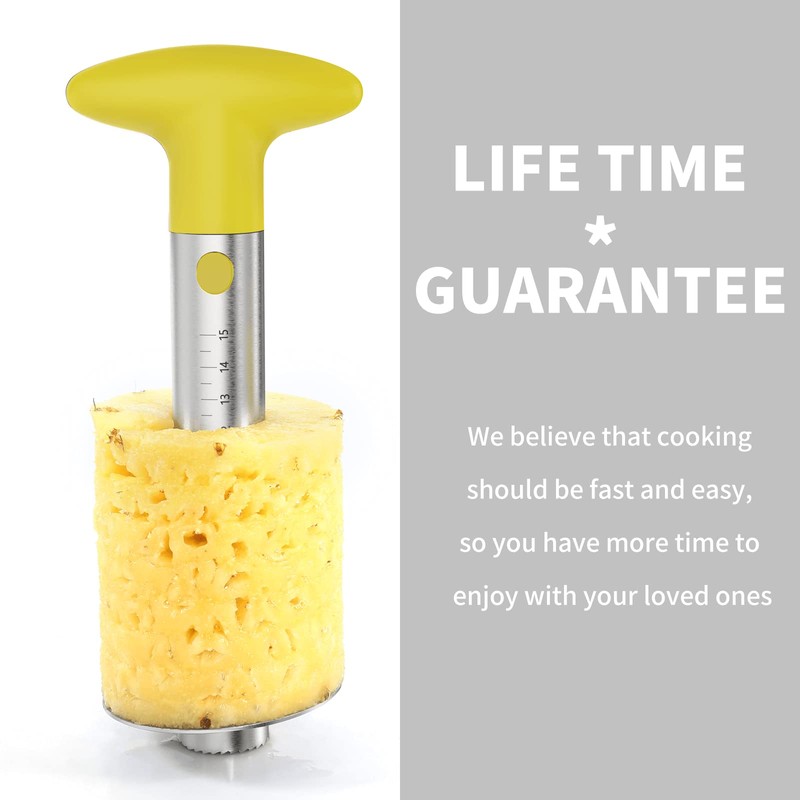 OOKUU Pineapple Corer Cutter, Stainless Steel Fruit Peeler Slicer -