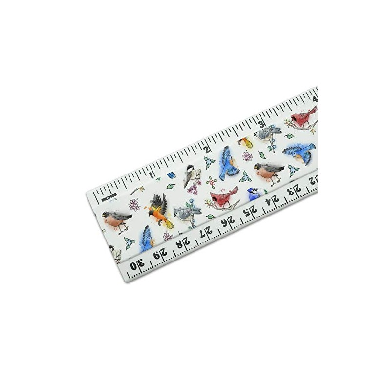 Northeastern Birds Pattern 12 Inch Standard and Metric Plastic Ruler