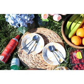 ANNOVA 20 Piece Silverware Set, Service for 4, Premium Forged Stainless Steel Tableware Kitchen Flatware Set Utensils, Includes Dinner Knives, Forks, Spoons, Salad Forks & Dessert Spoons