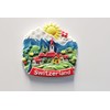 3D -SWITZERLAND ZURICH ALPS Fridge Magnet City Souvenir Travel Memory
