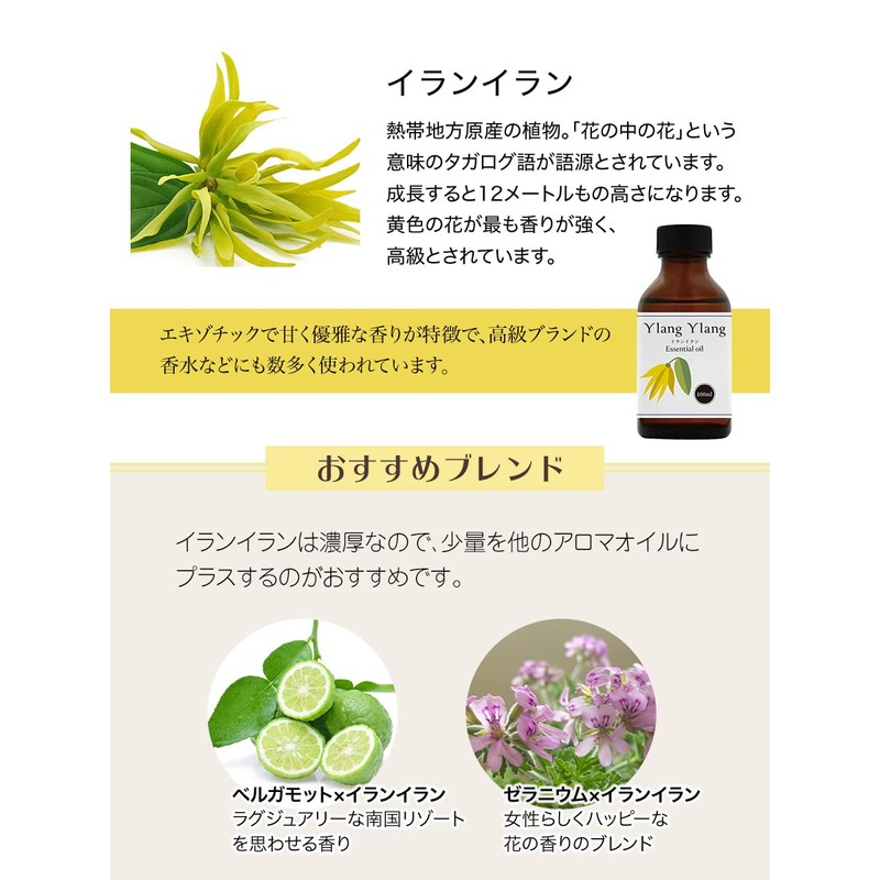 Natural 100% Ylang Ylang Oil 100ml Essential Oil Essential Oil