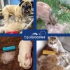 EquiGroomer Deshedding Brush for Dogs and Cats | Undercoat 5",