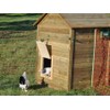 Chicken Cooper Magnetic lock for secure closing, secure chicken flaps