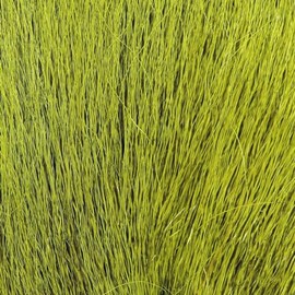 Hareline Large Northern Bucktail Yellow Olive